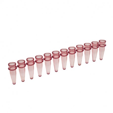 T320-10 - Amplitube™ 12 tube strips (tubes only) - Simport