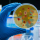 Do you know there are a wide variety of Petri dishes? 